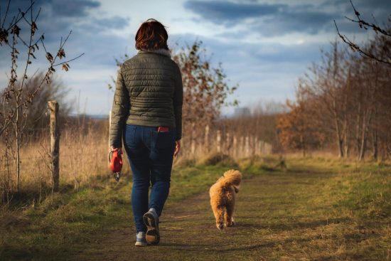 scopri i sentieri lungo il fiume: esperienze uniche di passeggiate immerse nella natura, ideali per rilassarsi, praticare sport o semplicemente godere di panorami mozzafiato.