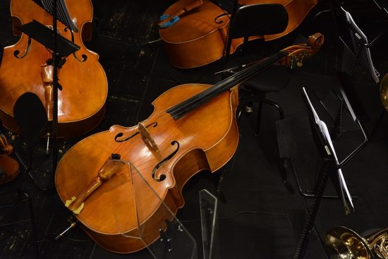 scopri i segreti dei maestri del contrabbasso! un viaggio attraverso le tecniche e le storie dei migliori musicisti di questo strumento affascinante. unisciti a noi per esplorare la maestria del contrabbasso e la sua influenza nella musica.