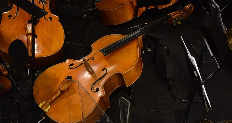 scopri i segreti dei maestri del contrabbasso! un viaggio attraverso le tecniche e le storie dei migliori musicisti di questo strumento affascinante. unisciti a noi per esplorare la maestria del contrabbasso e la sua influenza nella musica.