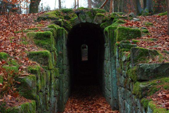 scopri i segreti del mondo che ti circonda: misteri, curiosità e rivelazioni sorprendenti che ti lasceranno a bocca aperta. un viaggio affascinante nel cuore di storie inaspettate!