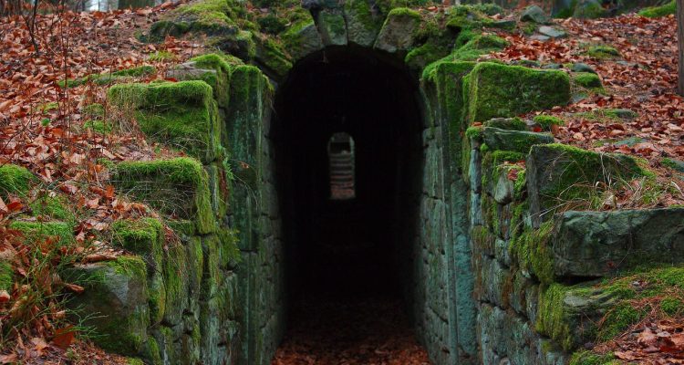 scopri i segreti del mondo che ti circonda: misteri, curiosità e rivelazioni sorprendenti che ti lasceranno a bocca aperta. un viaggio affascinante nel cuore di storie inaspettate!