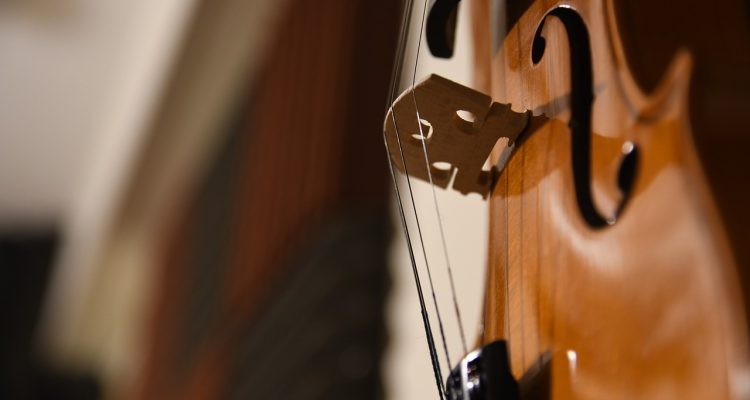 scopri il fascino del violino, uno strumento musicale ricco di storia e passione. dalla sua costruzione alle tecniche di suono, esplora il mondo del violino e le sue melodie incantevoli.