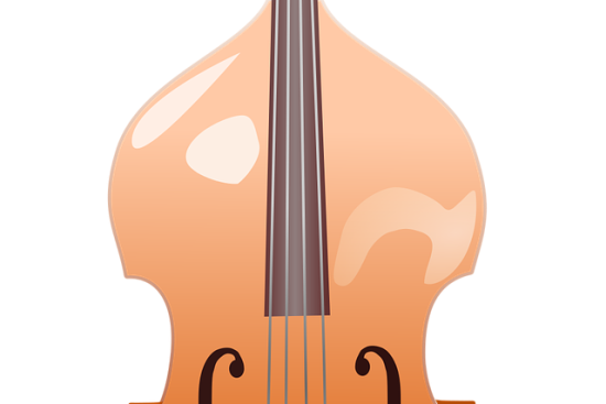 scopri il mondo del contrabbasso, uno strumento a corda fondamentale nella musica classica e jazz. esplora le tecniche di apprendimento, i migliori musicisti e le opere più celebri che valorizzano il suono profondo e ricco di questo straordinario strumento.