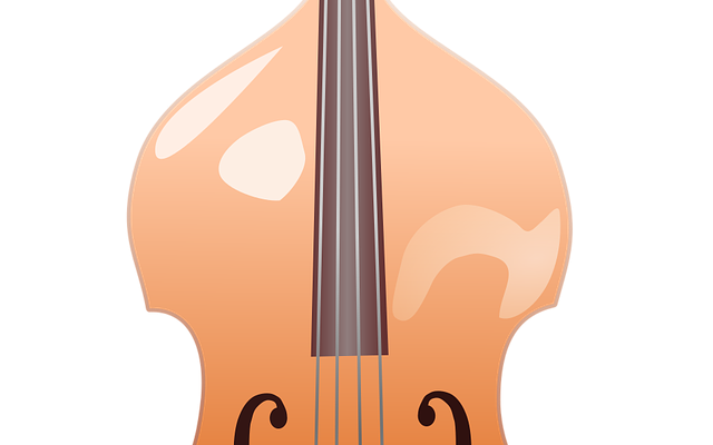 scopri il mondo del contrabbasso, uno strumento a corda fondamentale nella musica classica e jazz. esplora le tecniche di apprendimento, i migliori musicisti e le opere più celebri che valorizzano il suono profondo e ricco di questo straordinario strumento.