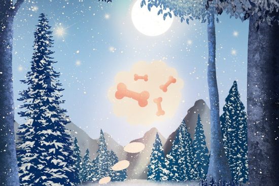 scopri le nostre playlist di musica per dormire, curate per offrirti un'esperienza rilassante e serenità. perfette per conciliare il sonno e migliorare il tuo riposo, queste melodie ti accompagneranno dolcemente nel mondo dei sogni.