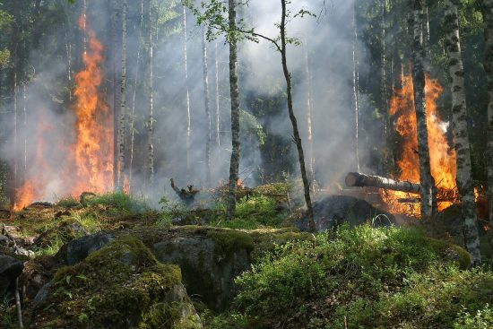 scopri il potente elemento del fuoco: la sua bellezza, la sua forza e il suo ruolo cruciale nell'energia e nella natura. approfondisci le sue applicazioni e l'importanza culturale in diverse società.