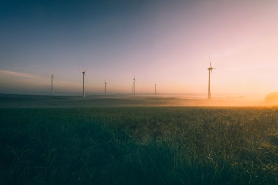 scopri l'importanza di un ambiente sonoro sano e come influisce sul nostro benessere quotidiano. approfondisci le tecniche per migliorare il suono che ci circonda e crea spazi più armoniosi.