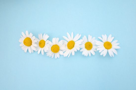 scopri l'importanza del copyright e come protegge le tue opere creative. informazioni sui diritti d'autore, la loro applicazione e le migliori pratiche per tutelare la tua creatività.