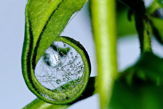scopri come creare un ambiente sonoro ideale per il tuo benessere e la tua concentrazione. approfondisci l'importanza del suono nella tua vita quotidiana e scopri strategie per migliorare la tua esperienza uditiva.